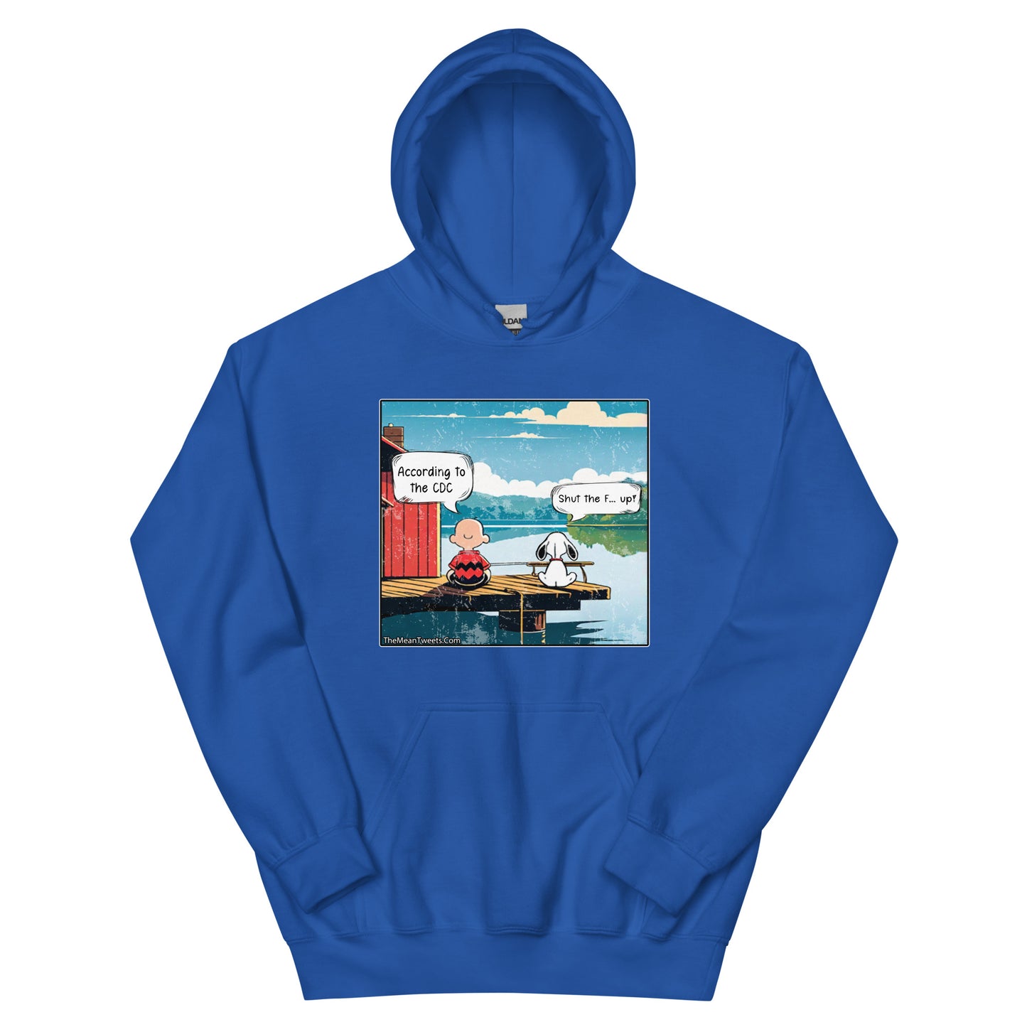 According To The CDC Unisex Hoodie