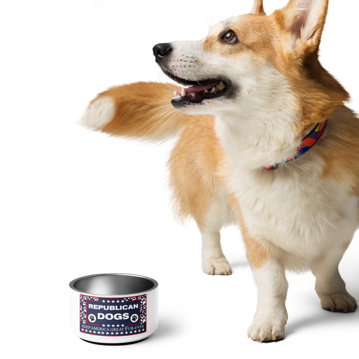 Republican Dog Pet bowl