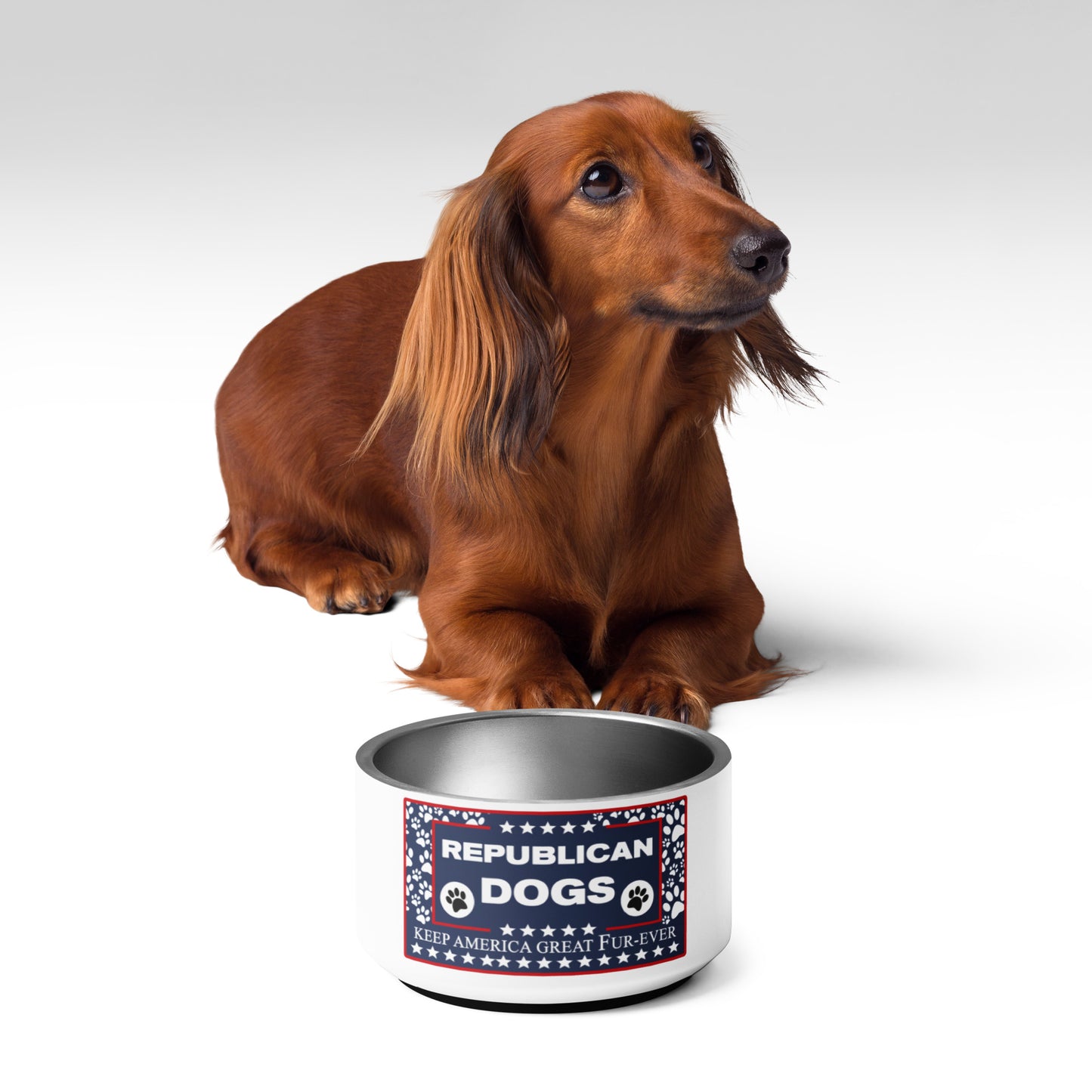 Republican Dog Pet bowl