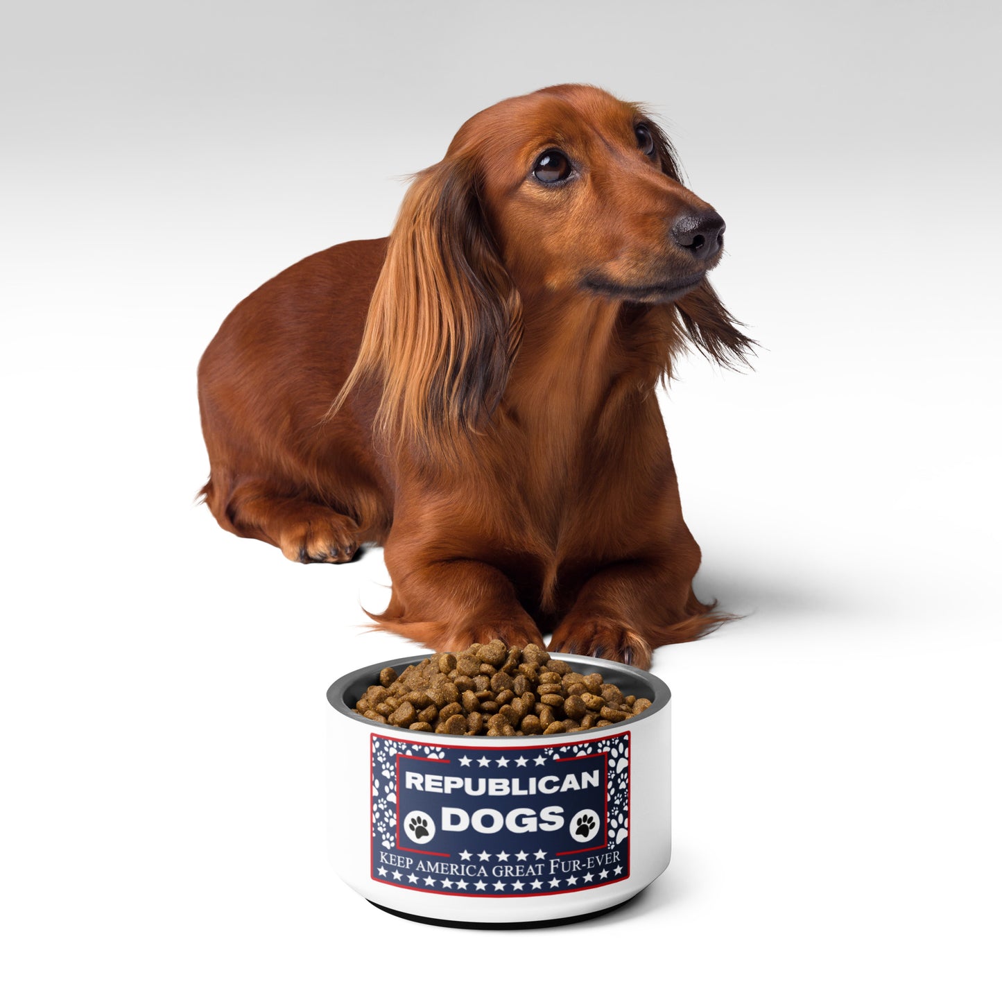 Republican Dog Pet bowl