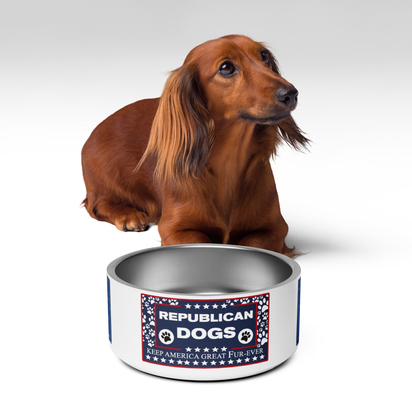 Republican Dog Pet bowl