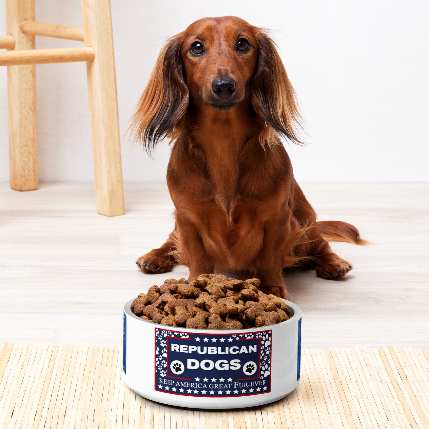 Republican Dog Pet bowl