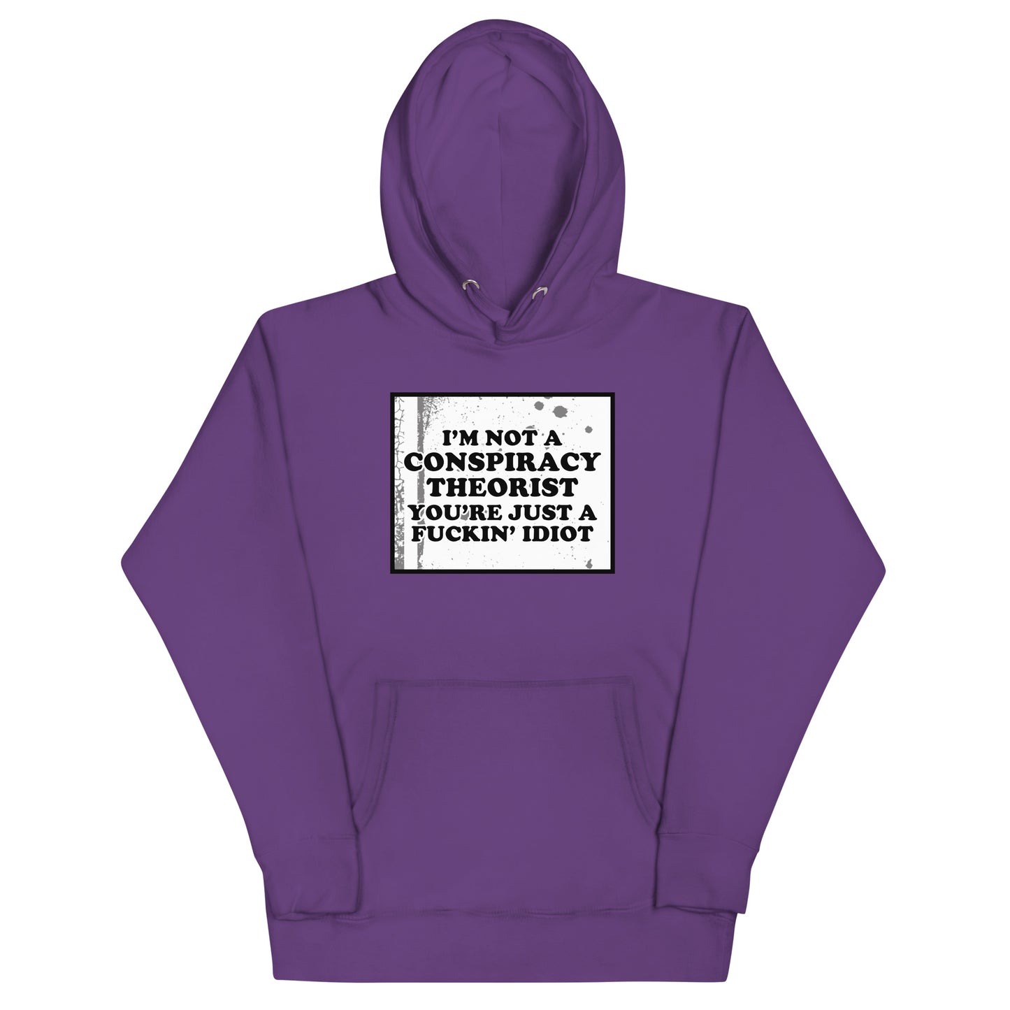 I'm Not A Conspiracy Theorist Unisex Hoodie